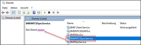 The screenshot shows starting the service in the service administration on the server.