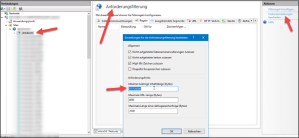 Screenshot of the Request Filtering section with the necessary settings