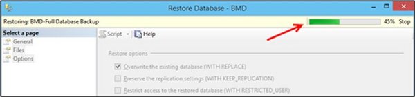 Screenshot of the "Restore Database" window; an arrow points to the progress bar.