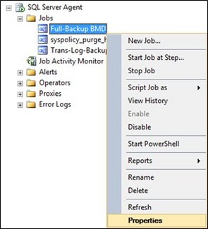 Screenshot_SQL Server Agent Full Backup BMD