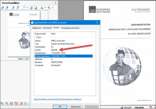 Screenshot of the BMD Scan properties with arrow pointing to the size