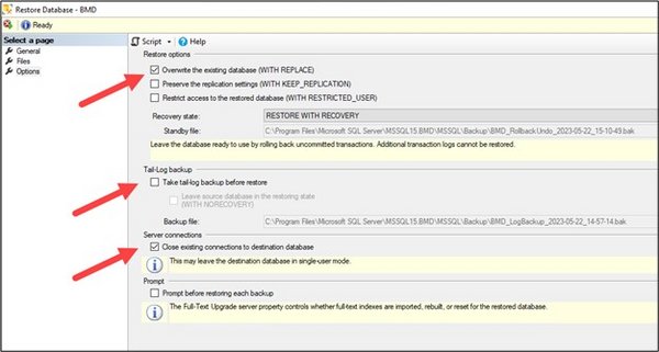 Screenshot of the "Restore Database" window with the required settings