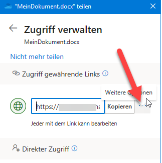Screenshot der weiteren Optionen zum Verwalten des Zugriffs. Roter Pfeil zeigt auf die drei Punkte neben dem Link "Weitere Optionen".