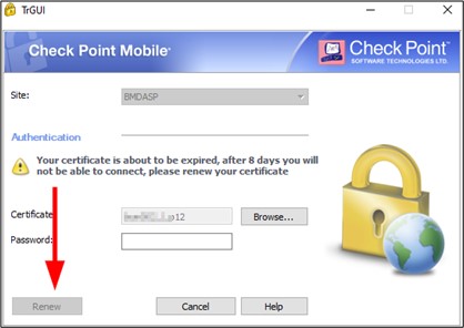 Screenshot of the certificate renewal; an arrow points to the "Renew" button.