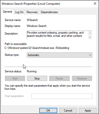 Screenshot of the Windows search properties (local computer)