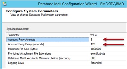 Screenshot of the "Configure System Parameters" section in the Configuration Wizard