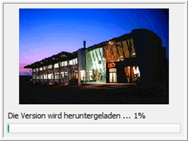 A bar indicating the download progress.