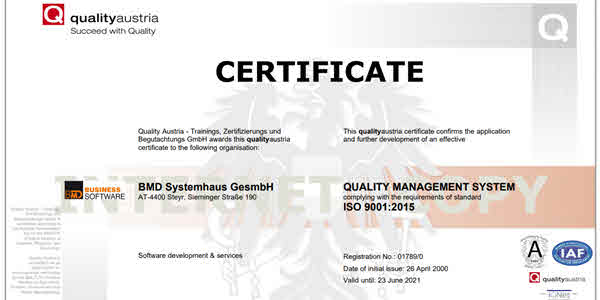 ISO 9001:2015 – Qualitätsmanagementsystem (englisch)