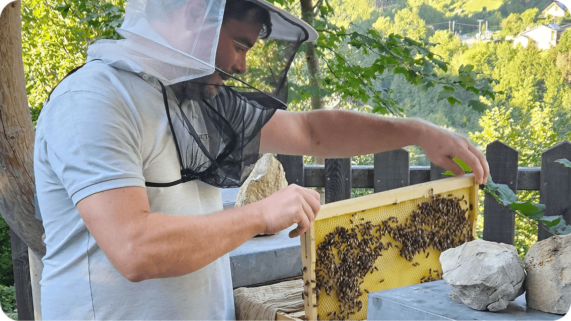 Foto eines jungen Imkers, der eine Bienenwabe hält, auf der sich unzählige Bienen tummeln.
