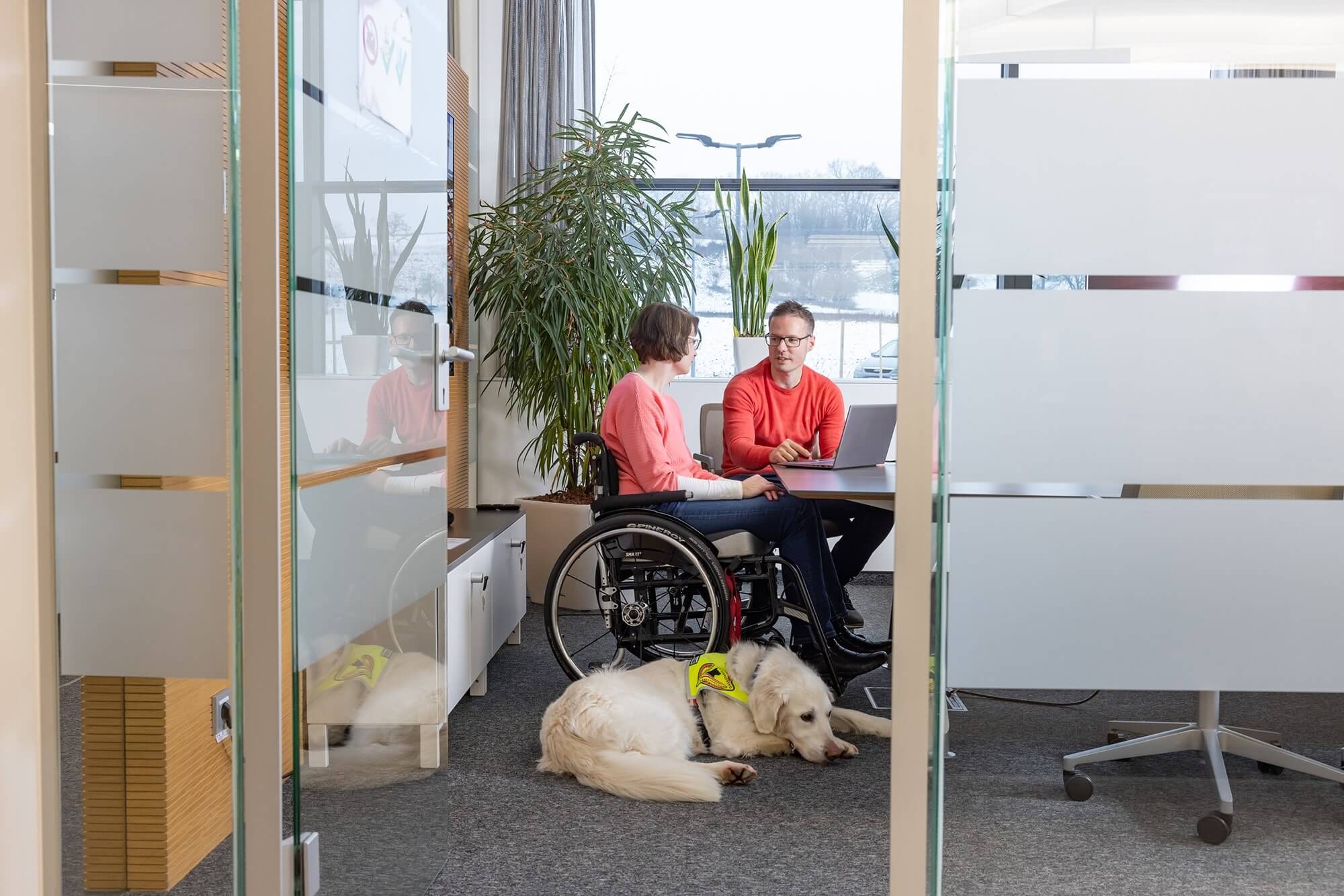 Zwei Personen arbeiten gemeinsam - eine Person von ihnen sitzt im Rollstuhl. Ein Assitsenzhund liegt am Boden.